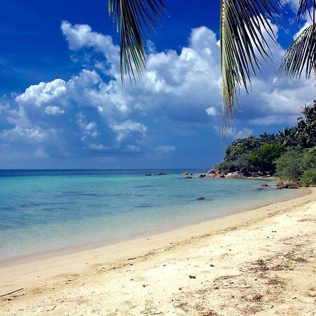 The Green Palm Koh Phangan Rum bild