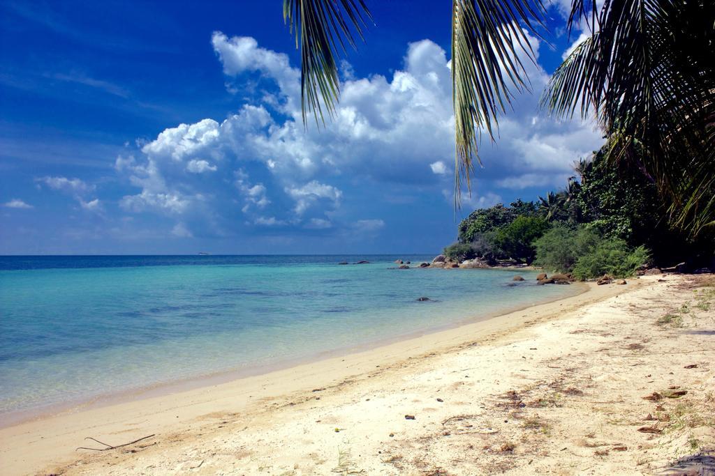 The Green Palm Koh Phangan Rum bild